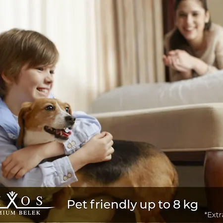 Rixos Premium - The Land Of Legends Access منتجع بيليك